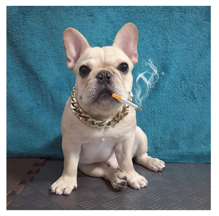 Steel Fashion Dog Chain Collars Strong Metal Pet Necklace Gold Silver Black  For Large  Bulldog Collar Dogs Decorative Necklace