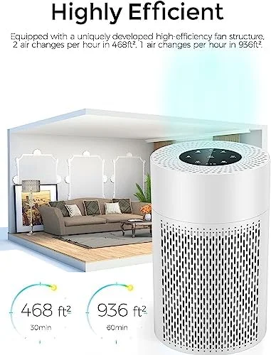 

Large HEPA Air Purifier (326 ft²)