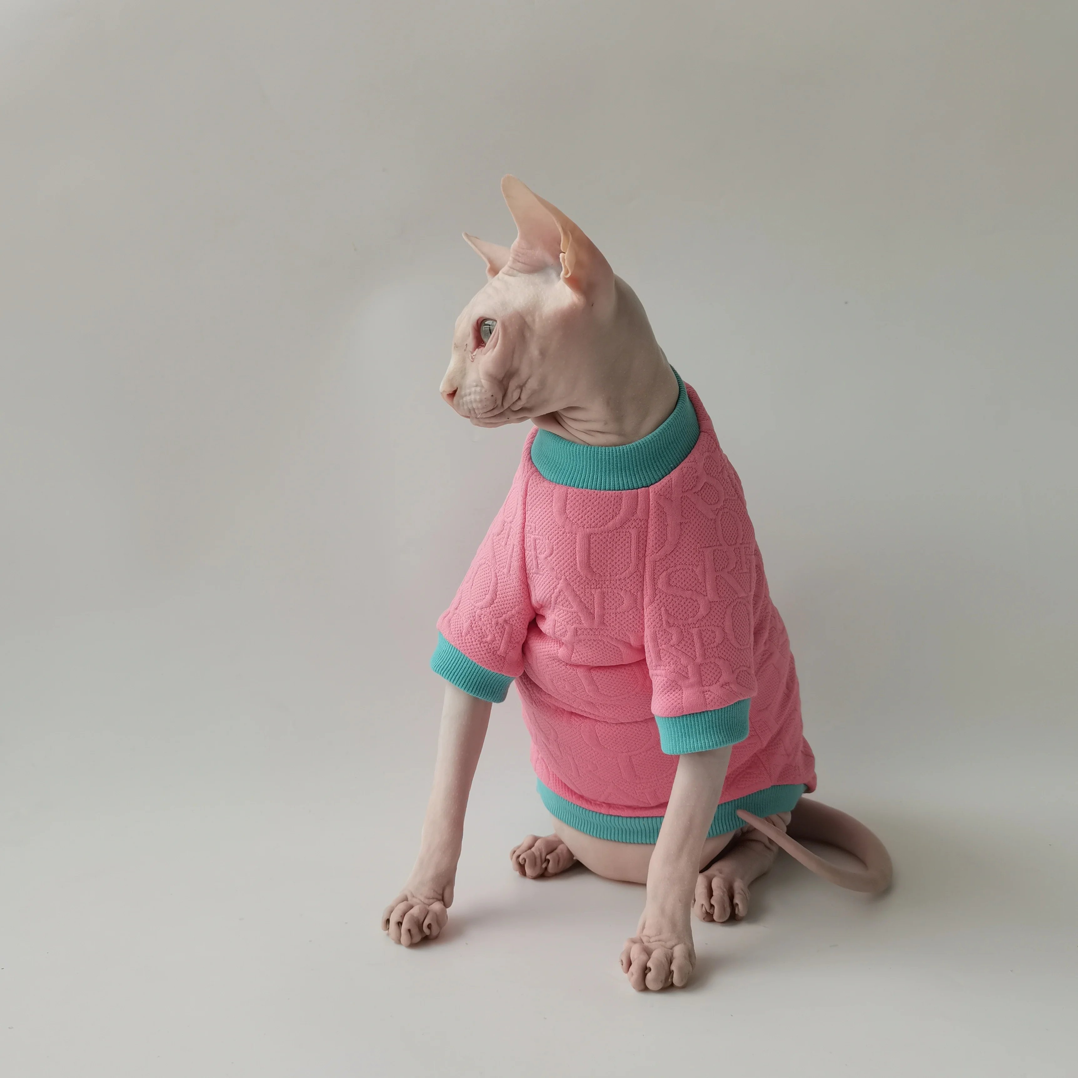 S145b98701667474782a10a3a730a6e9dz