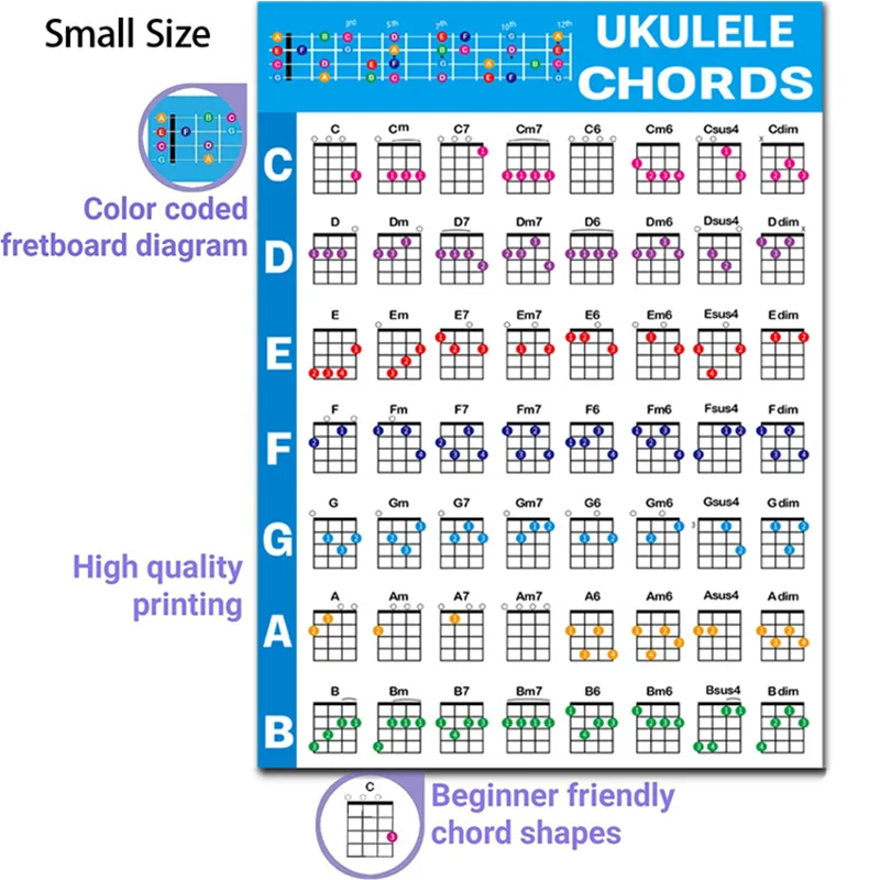 Beginner's Laminated Ukulele Chord & Music Theory Poster