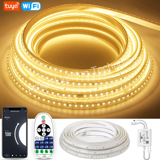 Tira led WiFi Bluetooth Tuya Smart 10 metros