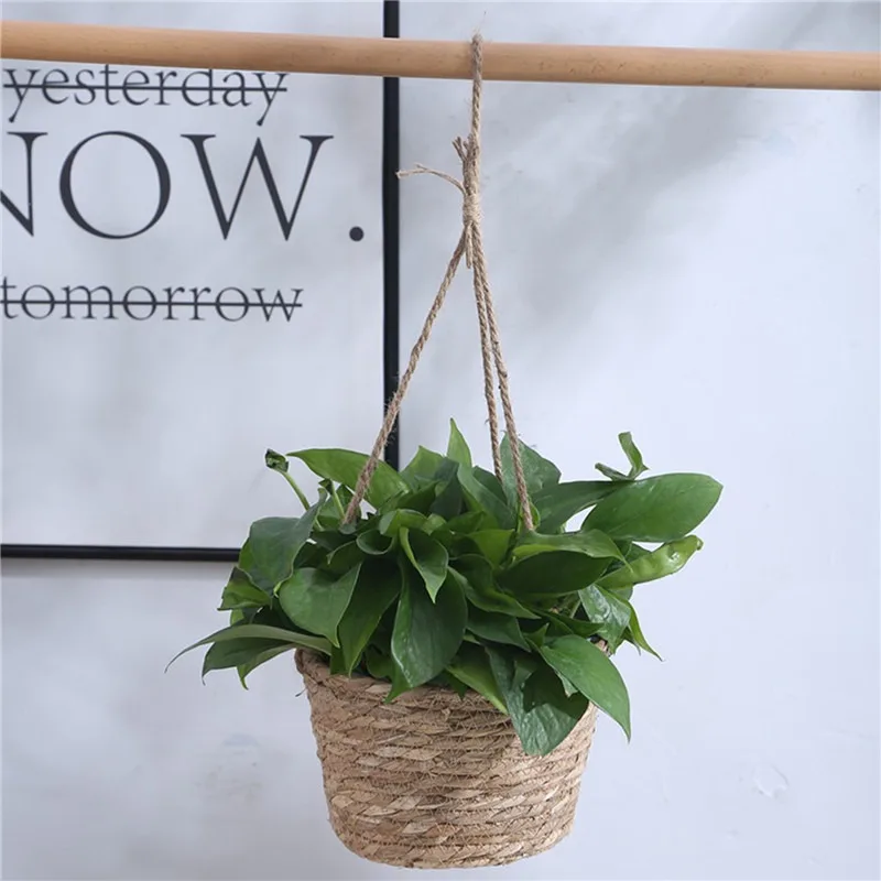 Macrame Hanging Planter 4