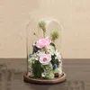 18*20cm 18*22cm 18*25cm 18*30cm 18*35cm 18*40cm Big Size Glass Dome Deocration Different Base Transparent Cover Wedding DIY Gift 4