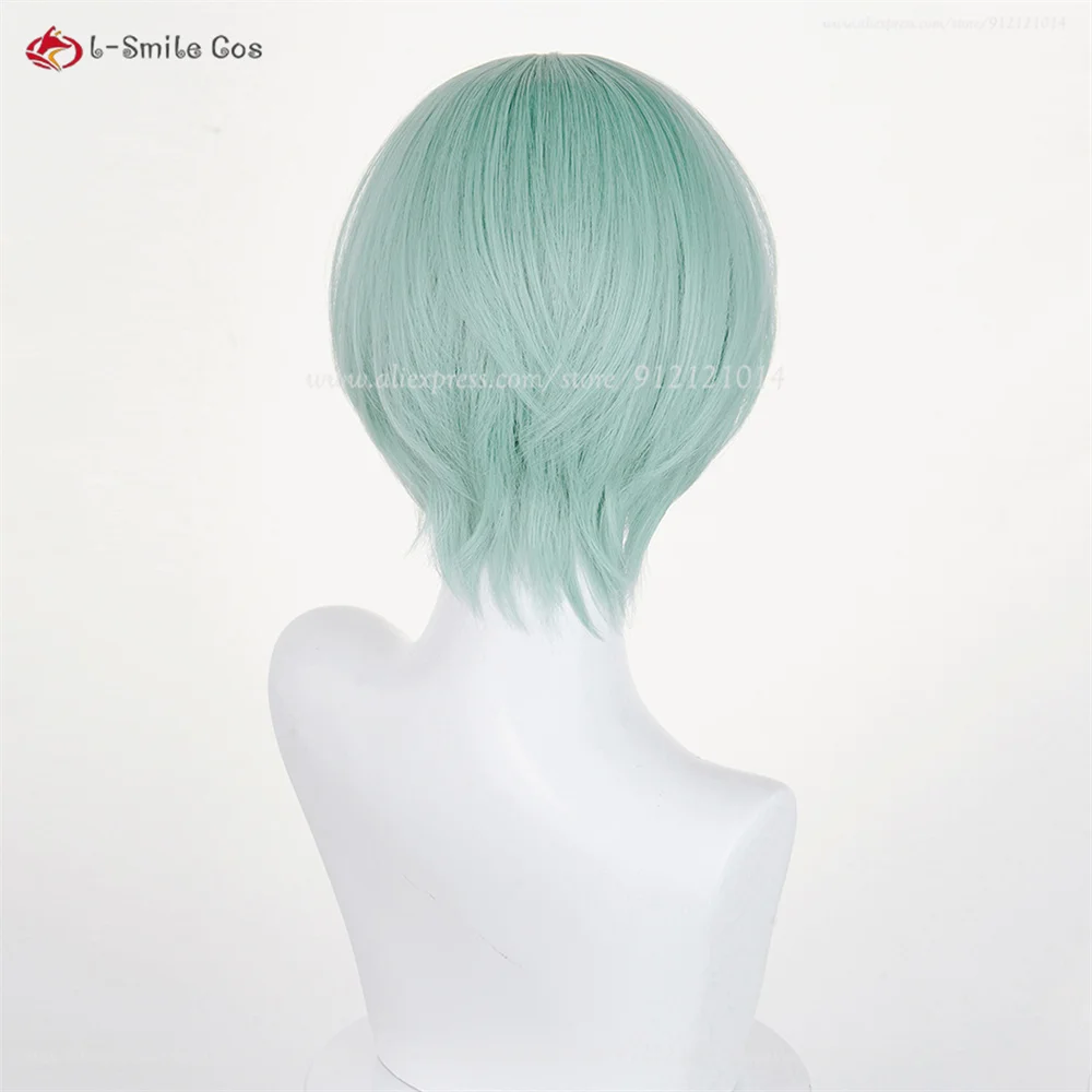 Anime Cosplay Wig Image 20