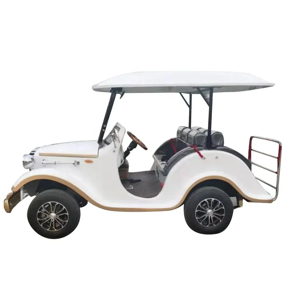 Pequeño coche VIP de aeropuerto, clásico, retro, para adultos, scooter de golf, eléctrico, de alta velocidad, carrito turístico antiguo