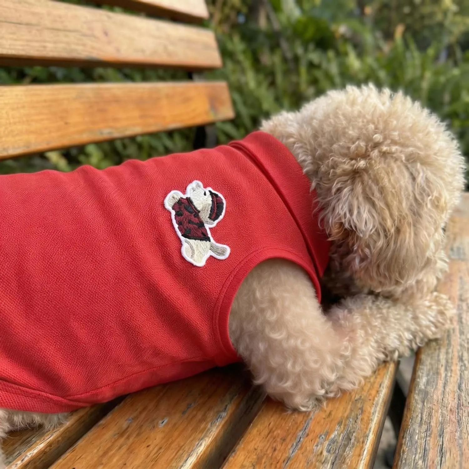 Polo ricamata alla moda per cani, traspirante, senza maniche, abbigliamento per animali domestici di piccola taglia, per passeggiate all'aperto. - Image 6