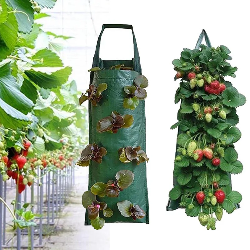 

4 8 Pockets Strawberry vertical Garden Plant Bags Planter Pot Planting grow Bags wall hangingPotato Plants For Veg Herbs Flower