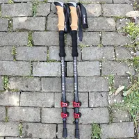 2Pcs Ultralight Trekking Poles Walking Sticks Hiking Canes Folding Carbon Fiber Walking Pole Nodic Walking Sticks 1