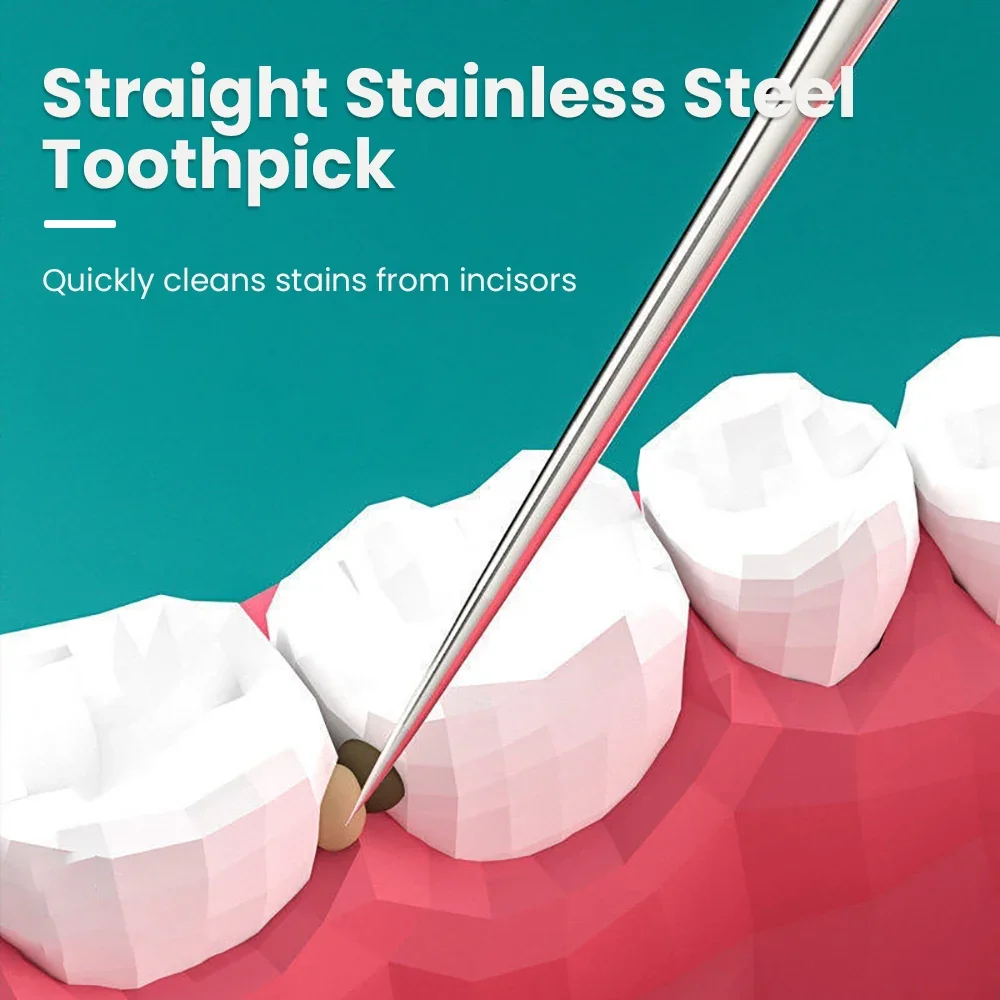 Toothpick Set 8pcs/set Stainless Steel Portable Toothpicking Tool Oral Care Floss Needle Dental Needle