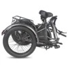 500W Cargo Three Wheel ebike  FAFREES F20 Mate Adult Electric Bicycle 48V18.2Ah Battery Folding E-bike 20*3.0 Fat Tires 8