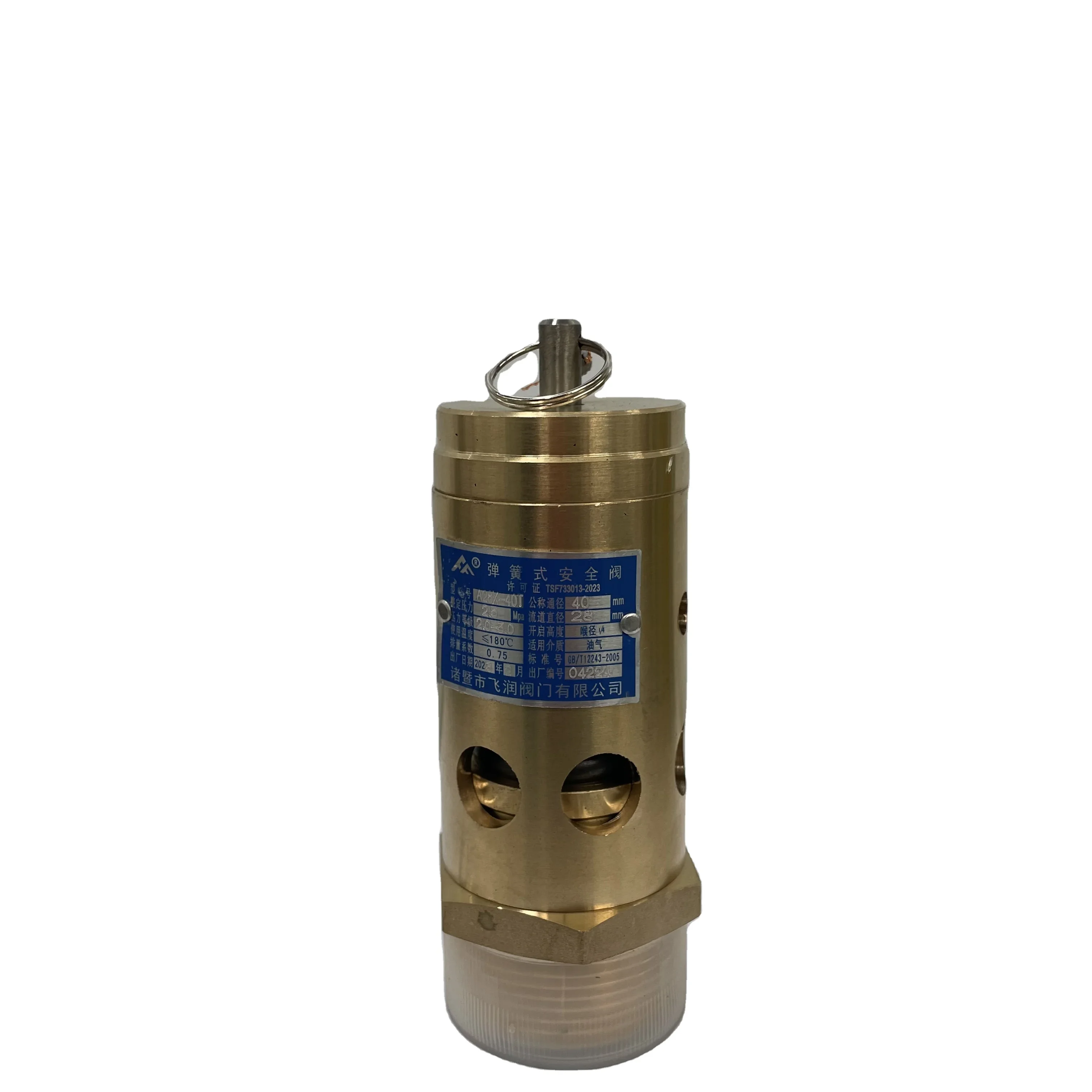 

DN40 Set Pressure 2.5MPA screw air compressor spring loaded safety valve