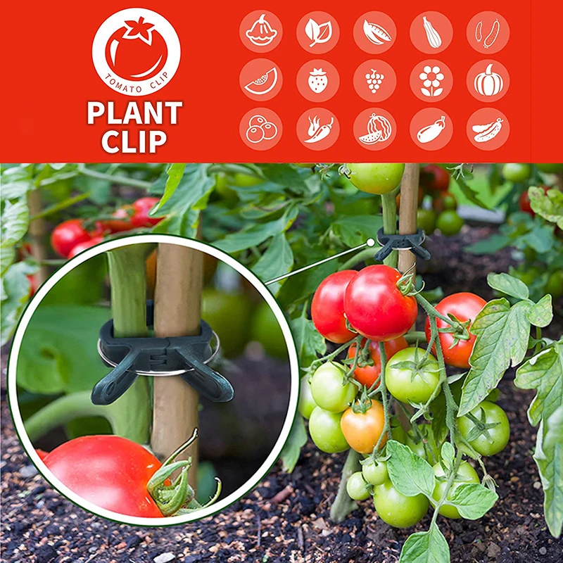 10/20PCS Reusable Plant Fixed Clips Greenhouse Bracket Fastener Clamp For Fixing Vine Flower Vegetables Stems Garden Supplies