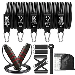 Heavy-Duty Booty Resistance Band Workout Set for Home & Gym Fitness Training (SET-300LB-12PCS)