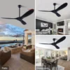 Big 60 Inch ABS Bland Ceiling Fan with LED DC Motor Remote Control ventiladores para casa 5