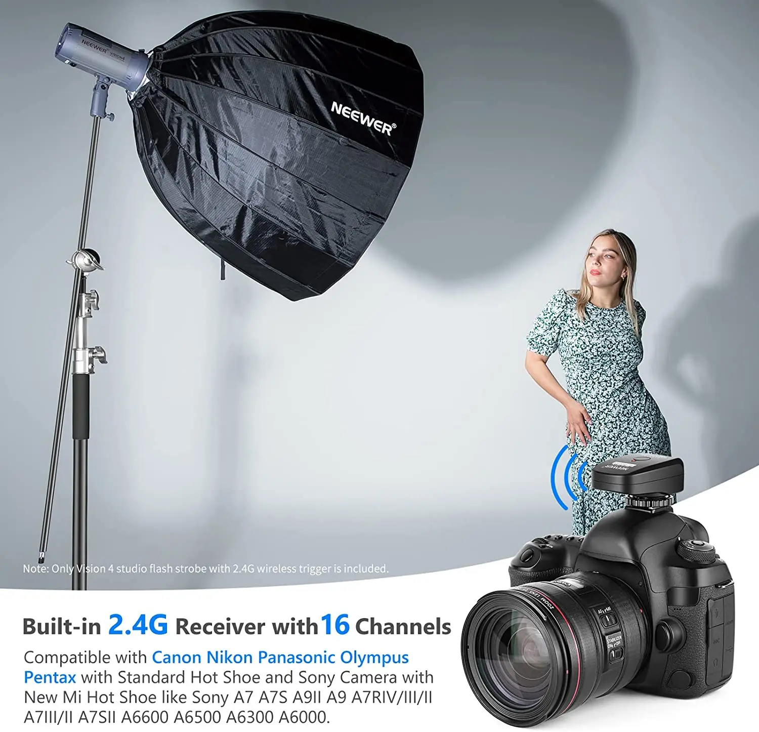 バッテリー式300Wモノブロック NEEWER VISION4 単純・安価が特徴 バッテリー式300Wモノブロック NEEWER VISION4 単純・安価が特徴