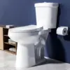 Extra Tall Toilet 21 Inch - High Toilet for Seniors, Round Toilet Dual Flush 1.1/1.6 GPF Comfort Bowl Height Toilet for Bathroom 1