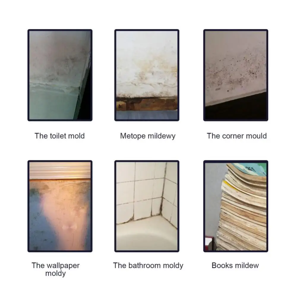 Household Mold Remover Spray Mildew Cleaning Agent Furniture Tile Removal Floor Wall Cleaner Home Multifunctional Mold Remover