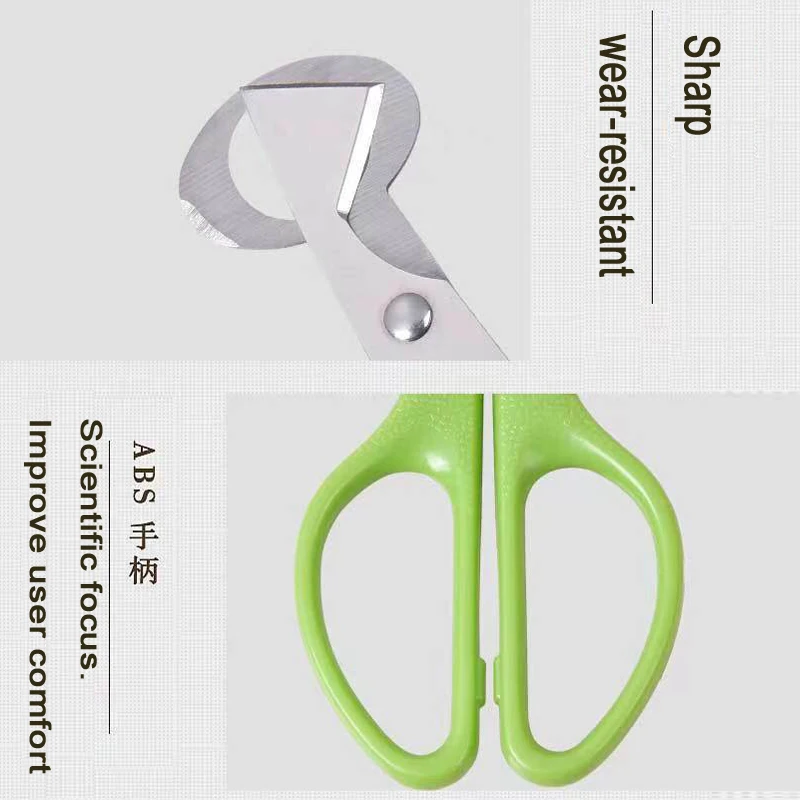 1/2/3/4/5pcs Pigeon Quail Egg scissor Bird Cutter Opener Kitchen Tool Clipper Cigar Cracker Blade 3