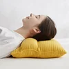 Cotton Sand Washing Buckwheat Skin Traction Pillow Multifunctional Pillow Neck Pillow 1