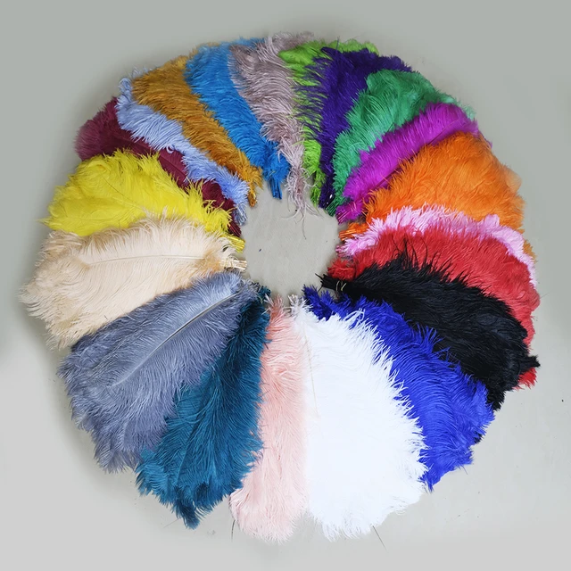 10Pcs Multicolor Real Ostrich Feathers Bulk Handicraft for Wedding Party  Decoration Table Centerpieces Carnival Plumas Decor - AliExpress