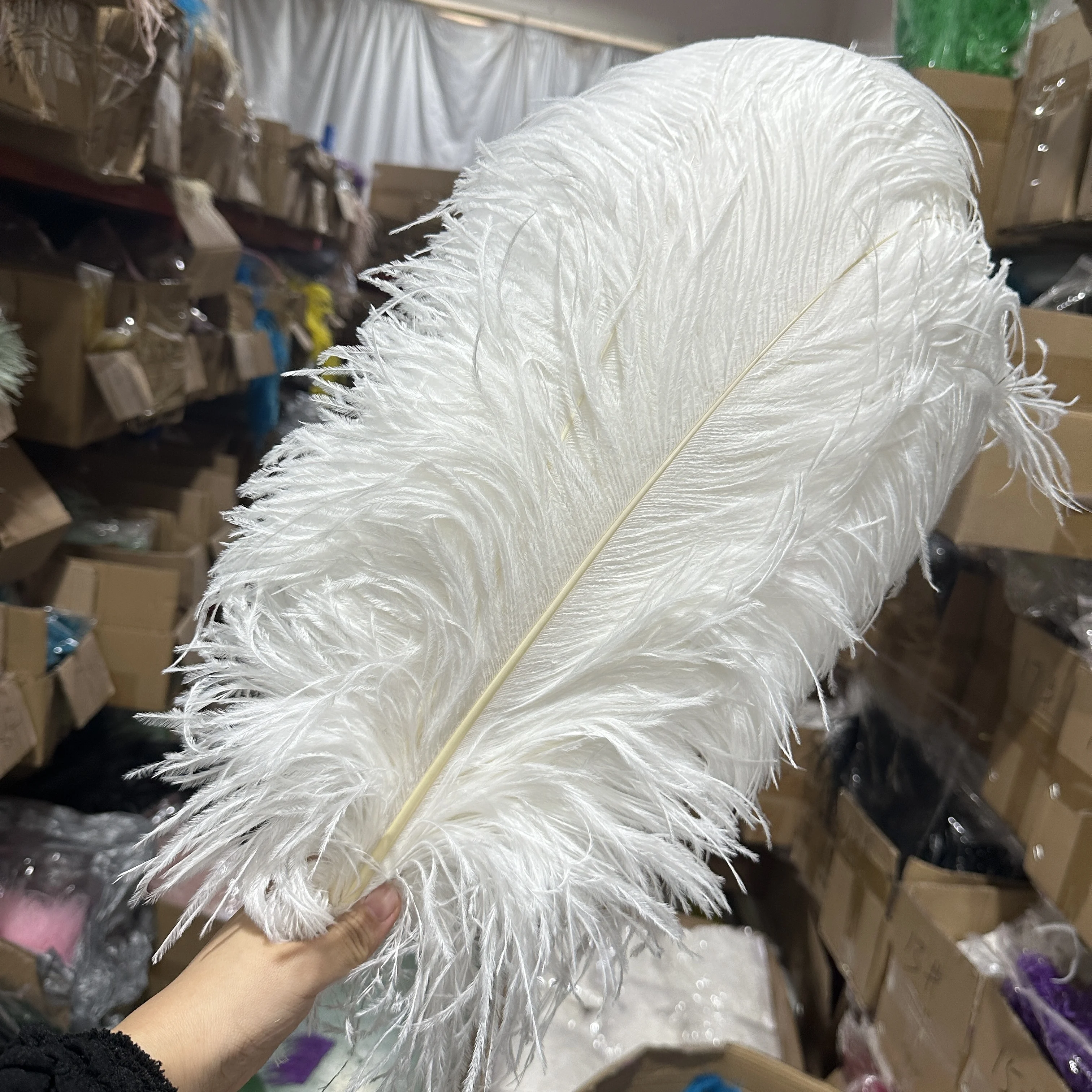 10Pcs White Ostrich Feathers 15 70cm Perfect Party Wedding Home Decor Natural Feathers Table Centerpieces Craft Decorations craft feathers natural feathers ostrich feathers