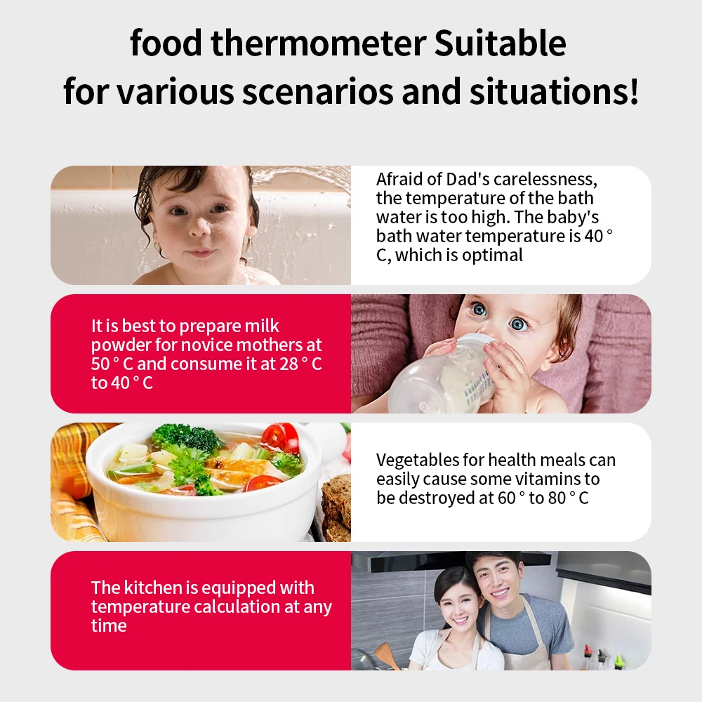 Portable Digital Thermometer Electronic Probe With Tube WT-1