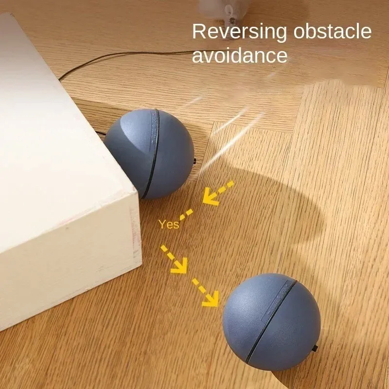 Electric Interactive Cat Ball 4
