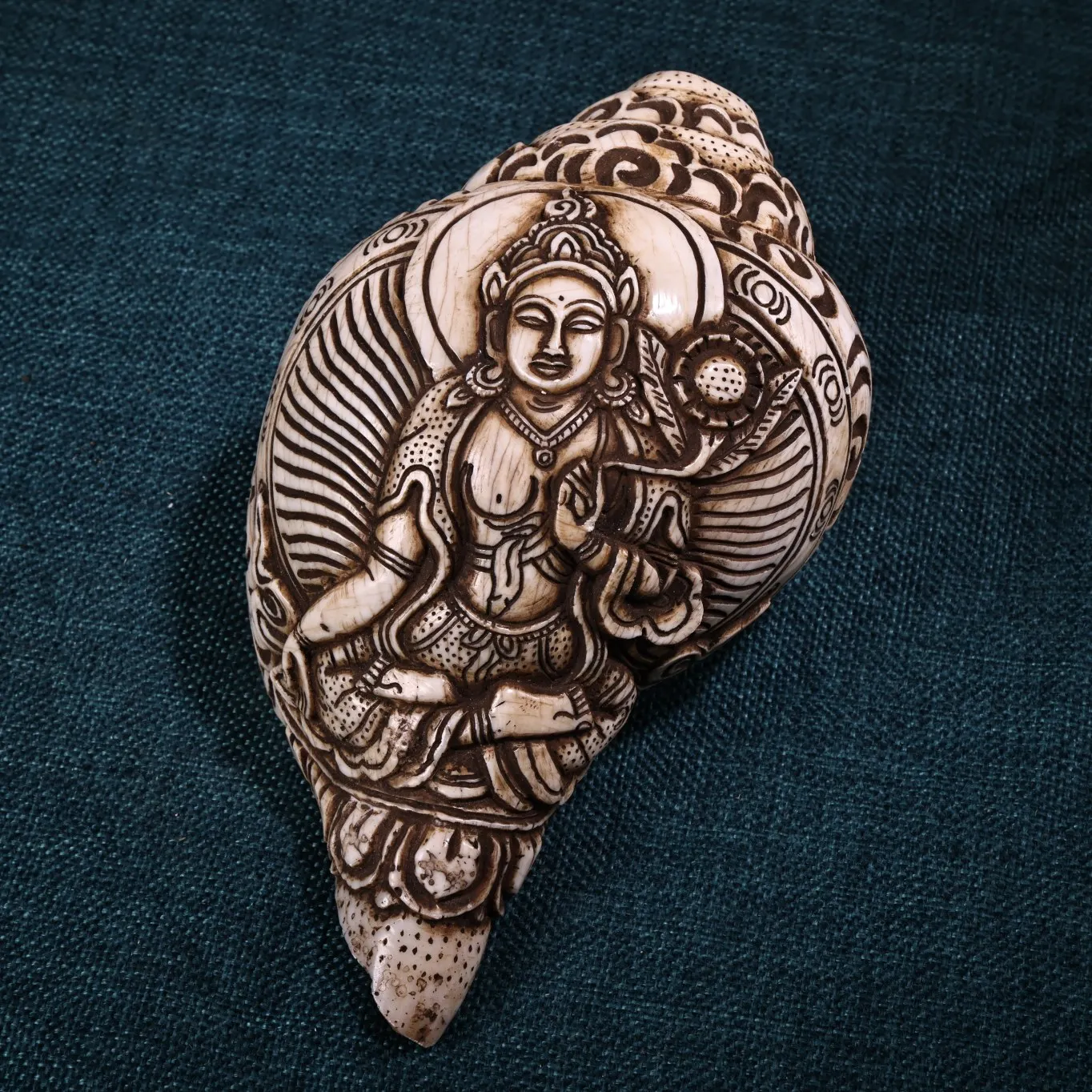 

7"Tibetan Temple Collection Old Natural Conch Cinnabar Lotus Tara Sitting Buddha Conch Snail Worship Hall Town house Exorcism
