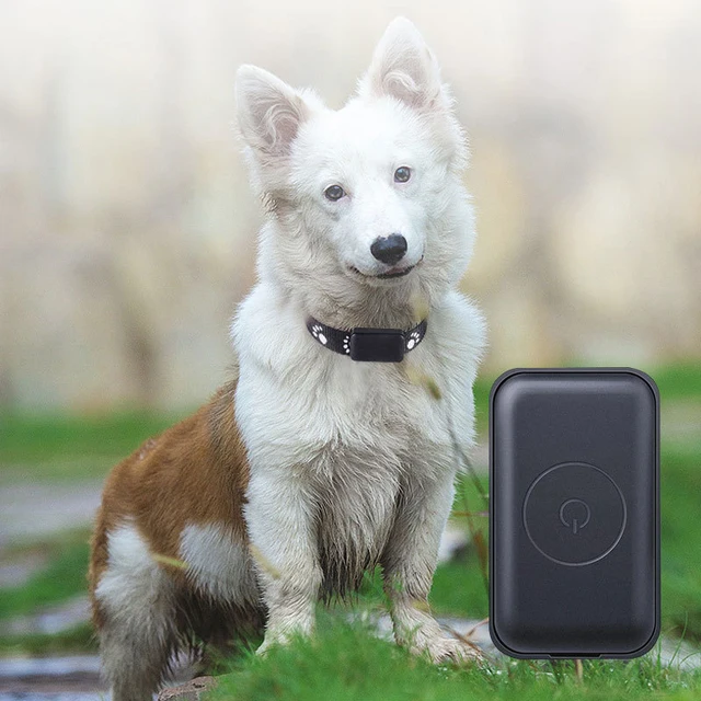 Dog GPS Tracking Collar Locator, GPS AGPS LBS WIFI Quad Position, Electronic Fence Alert, 90 Days History Track Rechargeable Pet 2