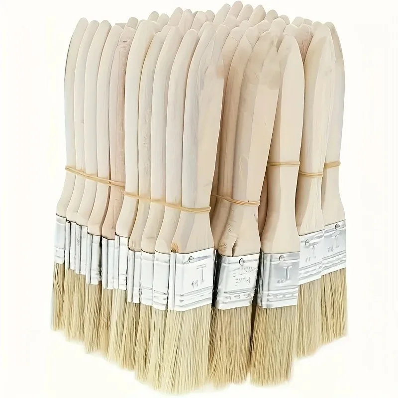 10 Pig Mane Brushes 2
