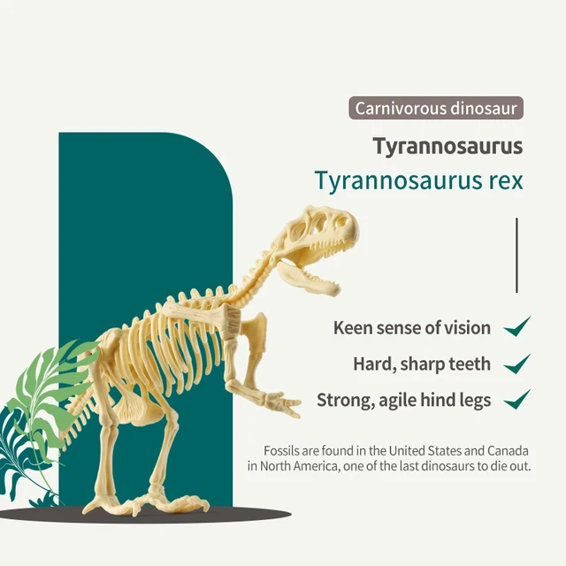 Dinosaur Fossil Excavation Kits Archaeological Dig Toy Jurassic World Dinosaur Skeleton Model Science Educational Toys for Boys 3