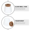 3 Pcs Hydroponic Plant Bottle Propagation Vases for Plants Glass Terrarium Avocado Flower Pots Desktop Decor Cork Jars Office 4