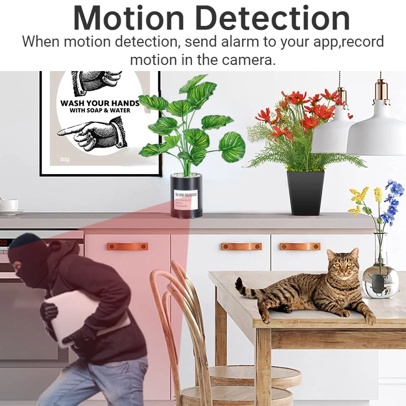 Motion Detection | Artificial Plant Pot SpyCam