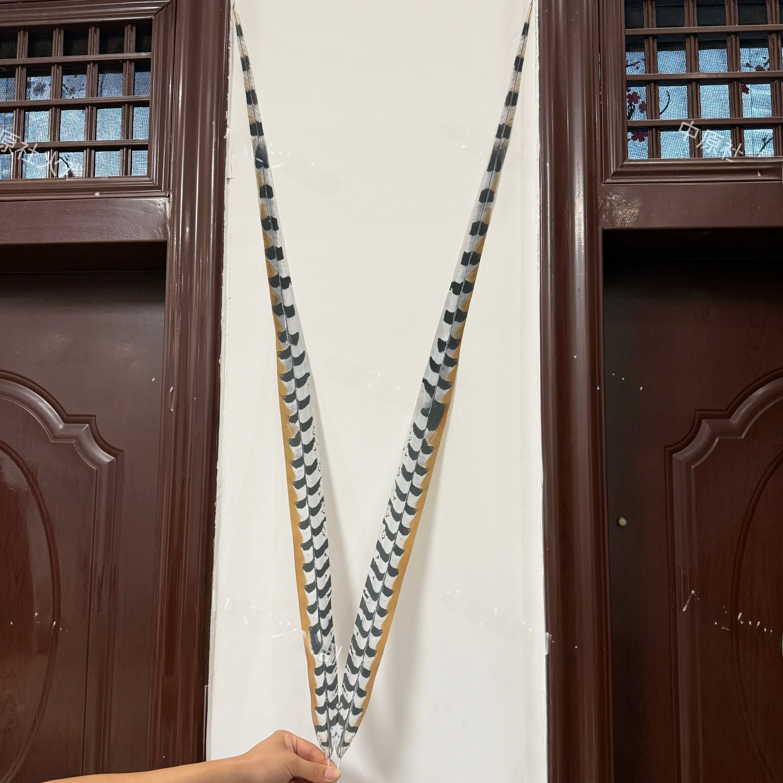 Authentic Ultra Reatic Feathers Profional Opera Dance Headwear Accories Wild Pheasant Bird Feathers Theatre Supplies