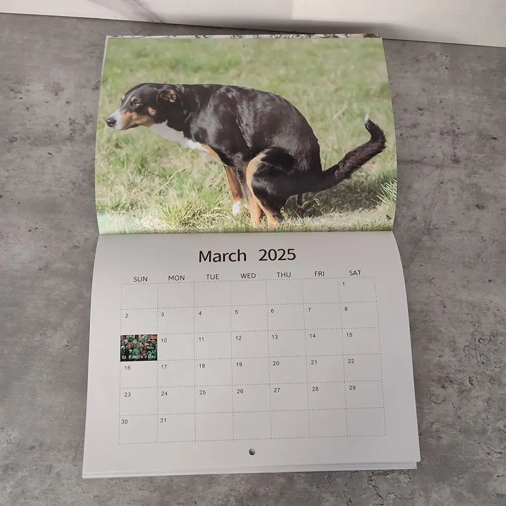 Wall Calendar 2025 Funny Dogs Pooping Daily Weekly Monthly Planner Creative Desktop Gift