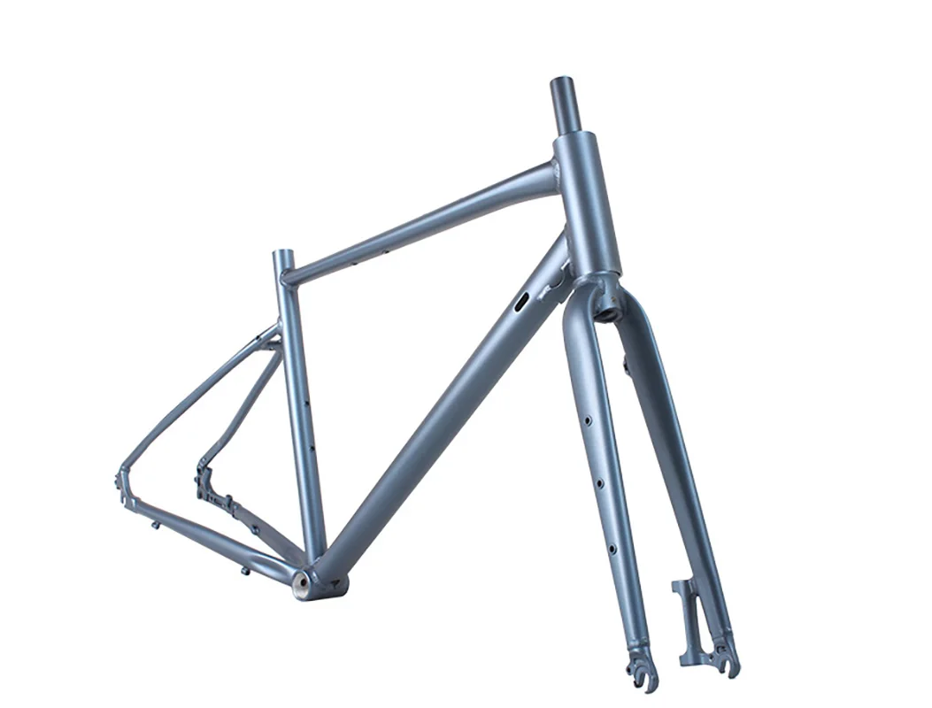 Cadre Vélo Gravier Acier/Carbone – Route, CX, Touring, 700C – Homme – Neuf