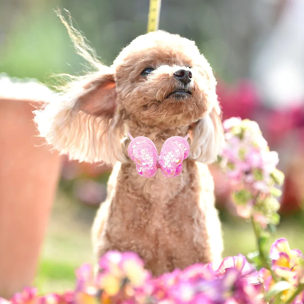 10PCS Butterfly Shape Dog Bowties Adjustable Fashion Sequins Pet Collars For Dogs Dazzling Dog Bow Ties Collars Pet Accessories 2