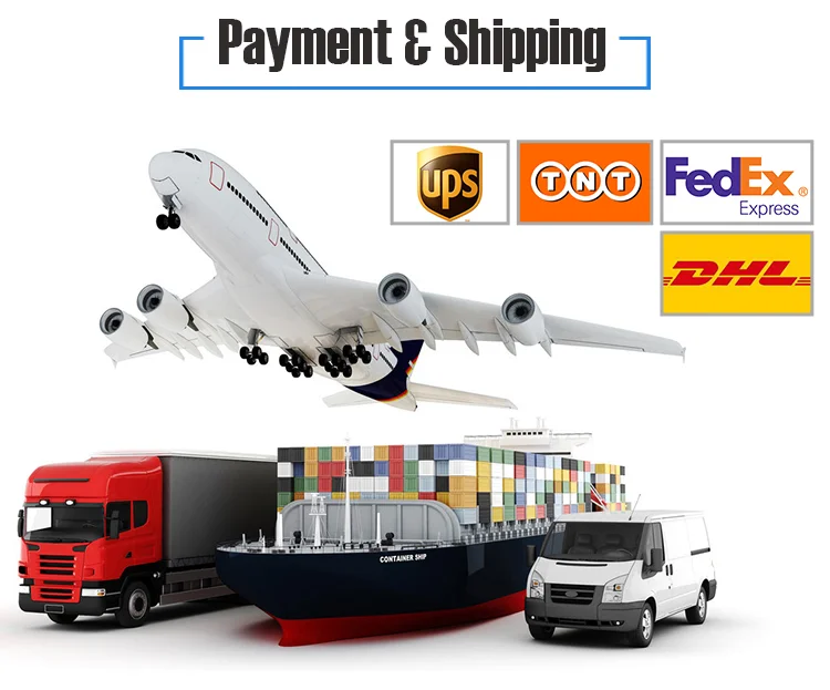 Payment and Shipping.png