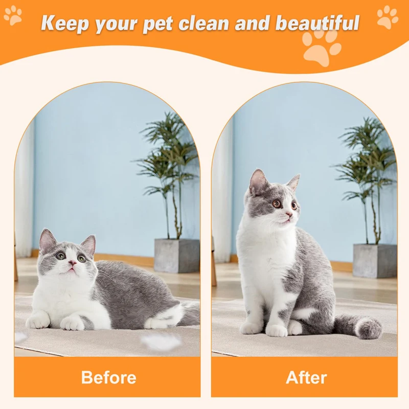 Slide image f3e2e20ef88c4935b112eda605aacdda