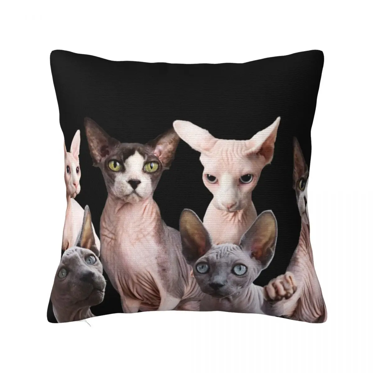 

Sphynx Cat Throw Pillow Cushion Covers For Living Room Cushion Cover Luxury christmas pillow case Pillow Cases
