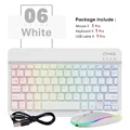 White-And Mouse