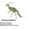 Parasaurolophus