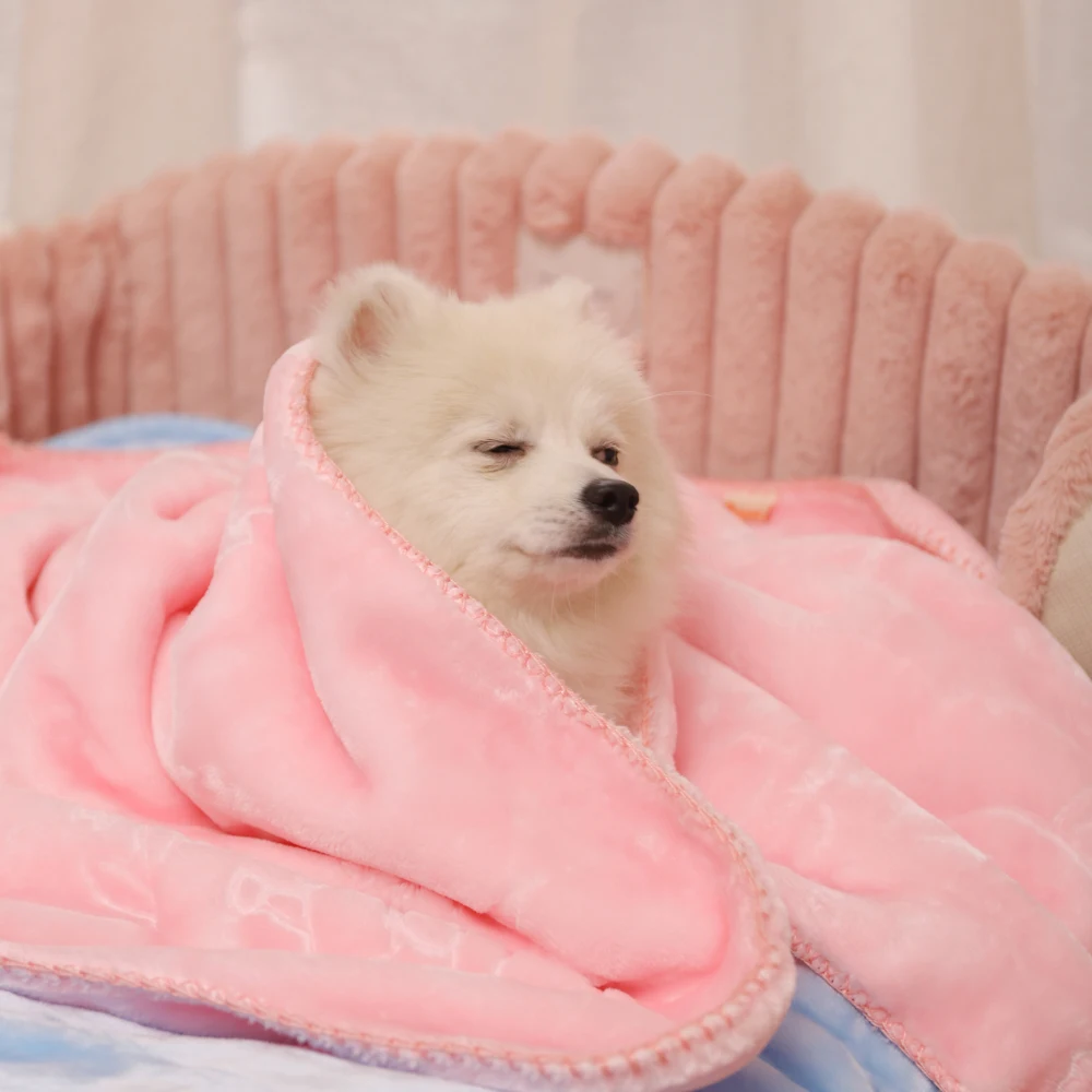 HOOPET-manta gruesa de lana para mascotas, edredón suave y esponjoso de  alta calidad para gatos y perros, Invierno - AliExpress, image size:1000x1000