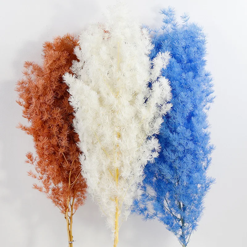 Bunga Kering Alami Penglai Pinus Bunga Diawetkan Dekorasi Pernikahan Diy Aromaterapi Lilin Epoksi Resina Perhiasan