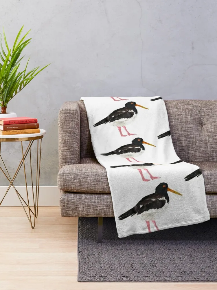 Oystercatcher ������ ���, ���� ǫ���� �ε巯�� ���, �Ƹ��ٿ� ���