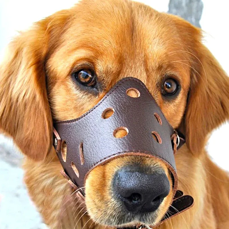 

Soft Leather Muzzle For Dogs Anti-biting Secure Adjustable & Breathable Pet Small Large Dogs Muzzle Allows Drinking & Eating