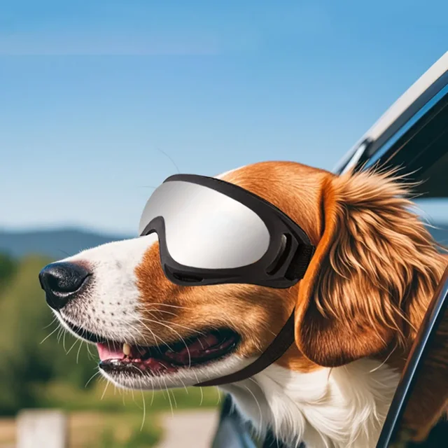 Adjustable Dog Sunglasses – Outdoor Protective Glasses for Small & Large Dogs 3