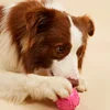 Squeaky Rubber Dog Toy Ball Cartoon Paw Print Design Small Breeds Durable Chew Dental Health Pet Plaything Interactive Dog Toys 3