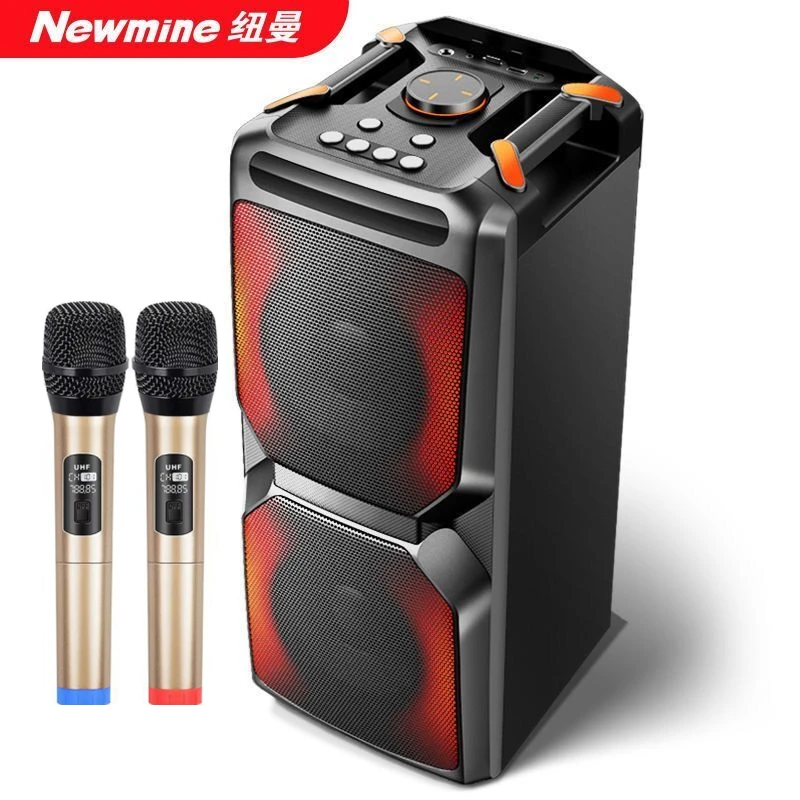 LED Portable Karaoke Party Sound Box 100W Peak Power Dual 6.5 inch