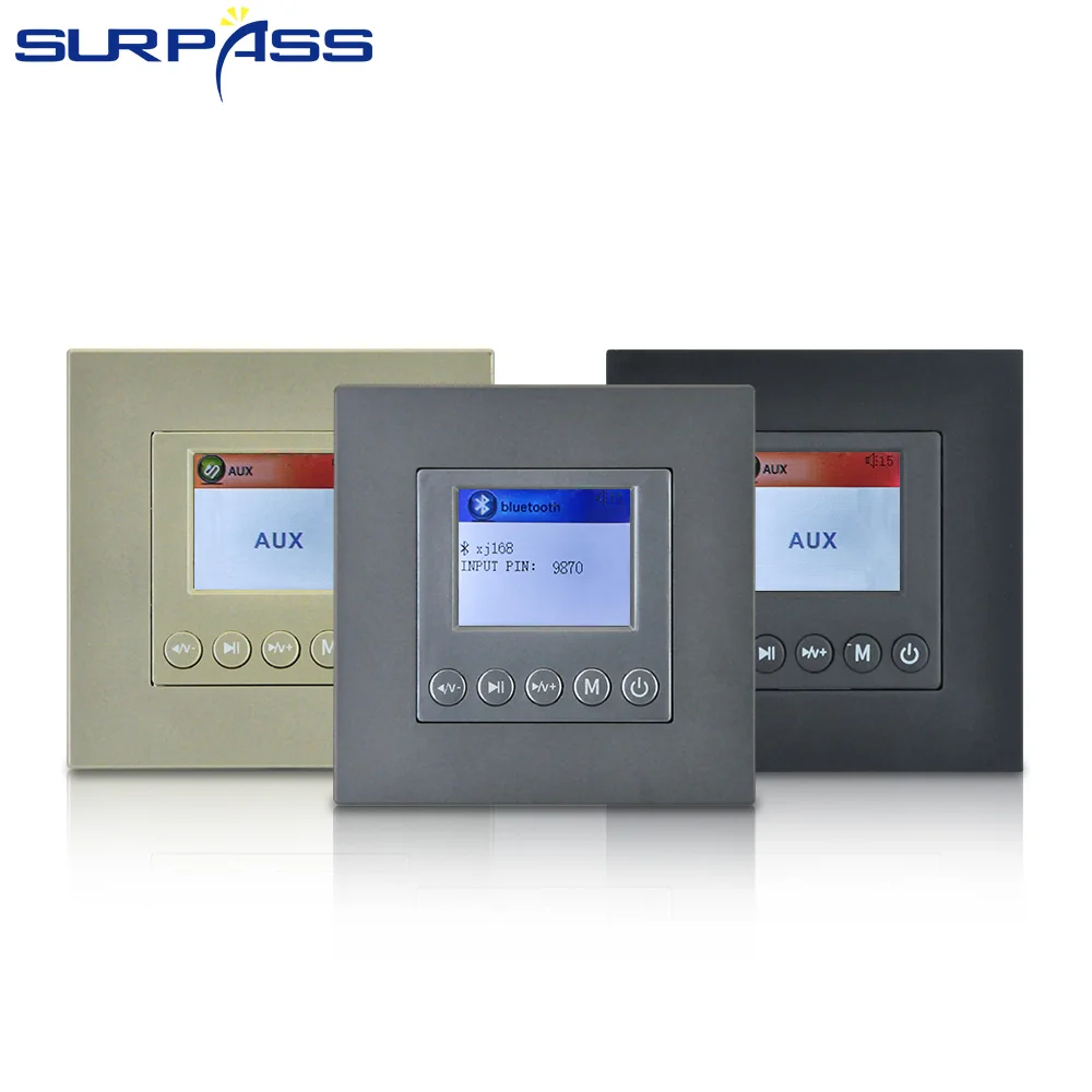 Smart Home Background Music Controller 2*10W 2 Inch DIsplay Touch Button In Wall Amplifier